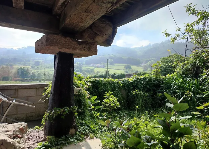 El Campo De Petra