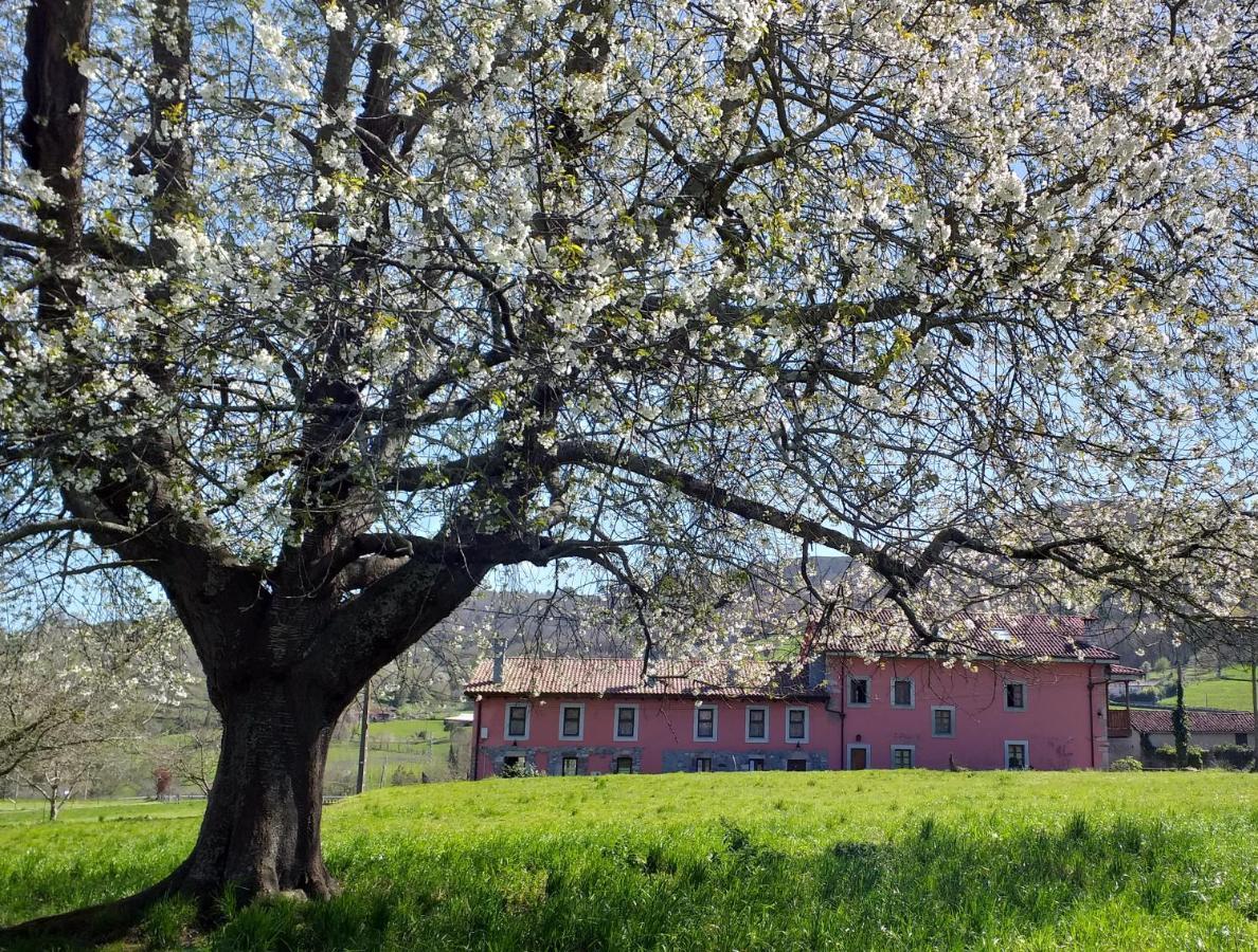 El Campo De Petra Hostel